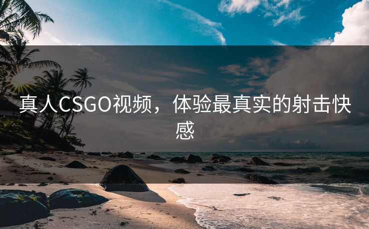 真人CSGO视频,体验最真实的射击快感 真人CSGO视频,体验最真实的射击快感