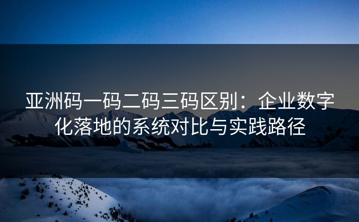 亚洲码一码二码三码区别:企业数字化落地的系统对比与实践路径